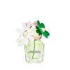 Marc Jacobs Daisy Wild Eau de Parfum – Adventurous Floral Women’s Perfume – With Notes of Banana Blossom Accord, Jasmine & Macadamia Accord, Sandalwood & Vetiver des Sables(1 Fl. Oz – Eau de Parfum)
