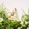Marc Jacobs Daisy Eau de Toilette 3-pc Set (Spring FY26)