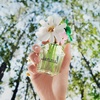 Marc Jacobs Daisy Wild Eau de Parfum – Adventurous Floral Women’s Perfume – With Notes of Banana Blossom Accord, Jasmine & Macadamia Accord, Sandalwood & Vetiver des Sables(5 Fl Oz (Pack of 1))