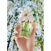 Marc Jacobs Daisy Wild Eau de Parfum – Adventurous Floral Women’s Perfume – With Notes of Banana Blossom Accord, Jasmine & Macadamia Accord, Sandalwood & Vetiver des Sables(3.4 Fl Oz (Pack of 1))